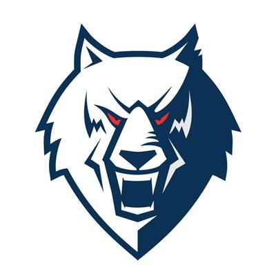 Нефтехимик