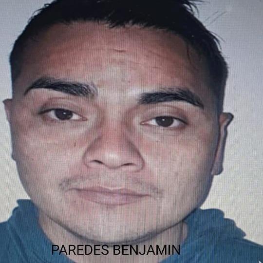 Paredes Benjamín