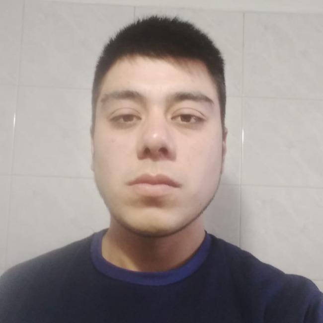 Braulio medel