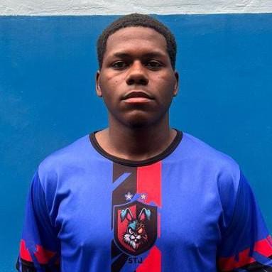 Luiz Henrique Brasil Corrêa