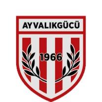AYVALIKGÜCÜ