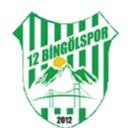 12 BİNGÖLSPOR
