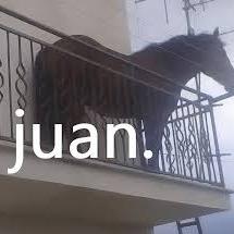 jzzy