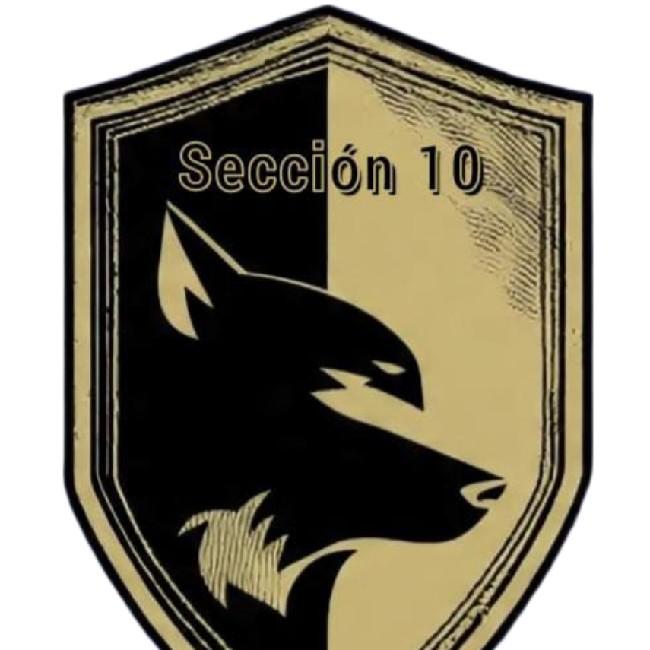 Sección 10