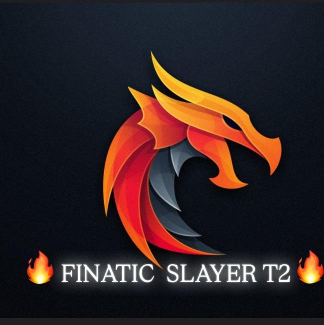 FNATIC SLAYER
