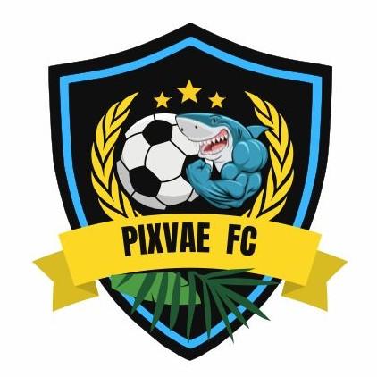 D.P PIXVAE