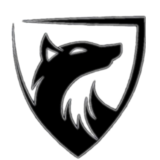 REAL TEAM F.S.