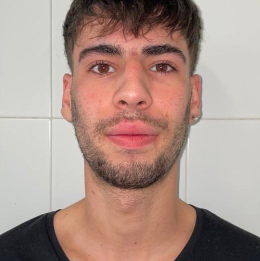 Raul Dimitru Banea