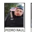 Pedro raul Martínez