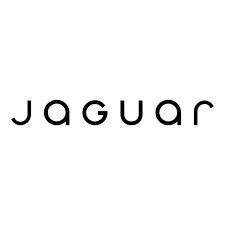 Jaguar Racing Team