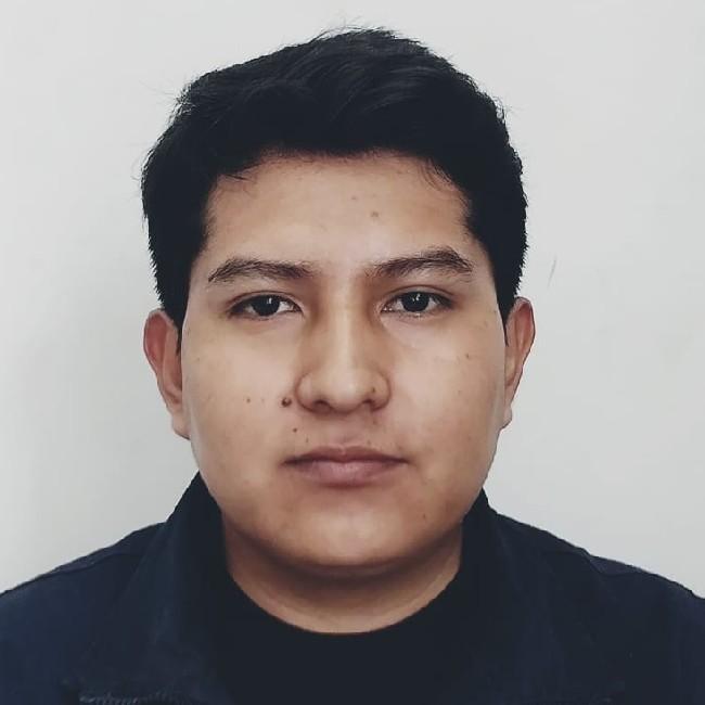 Ronaldiño Miguel Herrera Mamani