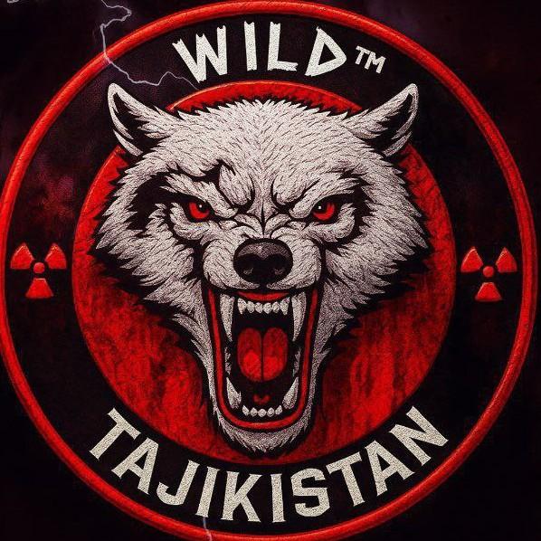 WILD TIGERS
