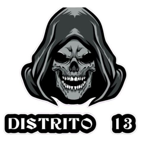 DISTRITO 13