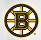 Boston Bruins