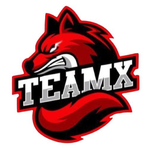 EQUIPE X