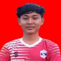 M. Alpin Saiful Ulum