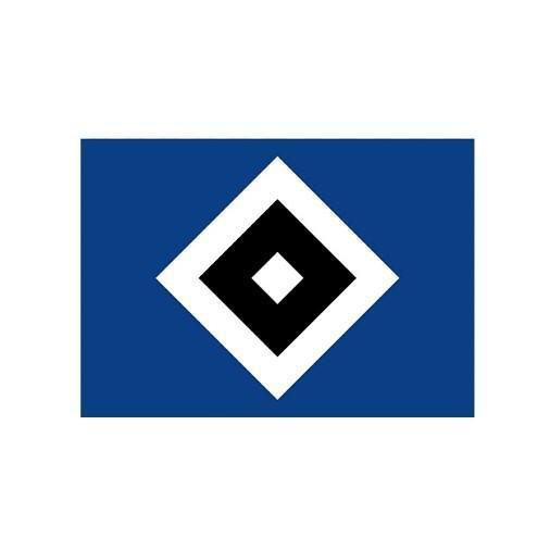 🇩🇪 Hamburger S.V.