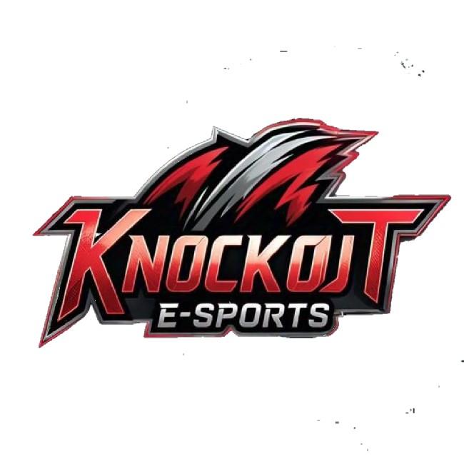 KNOCK OUT SPORTS