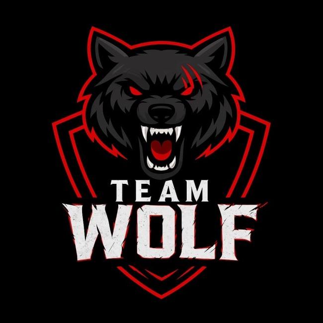 TEAM WOLF