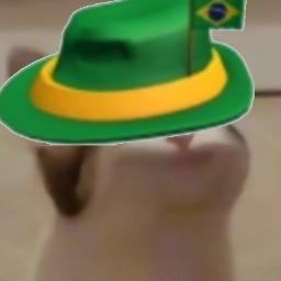 popcat_brazil_91060