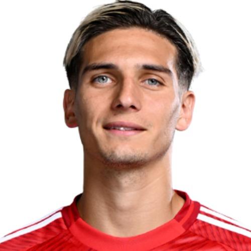 Nicolas Dominguez