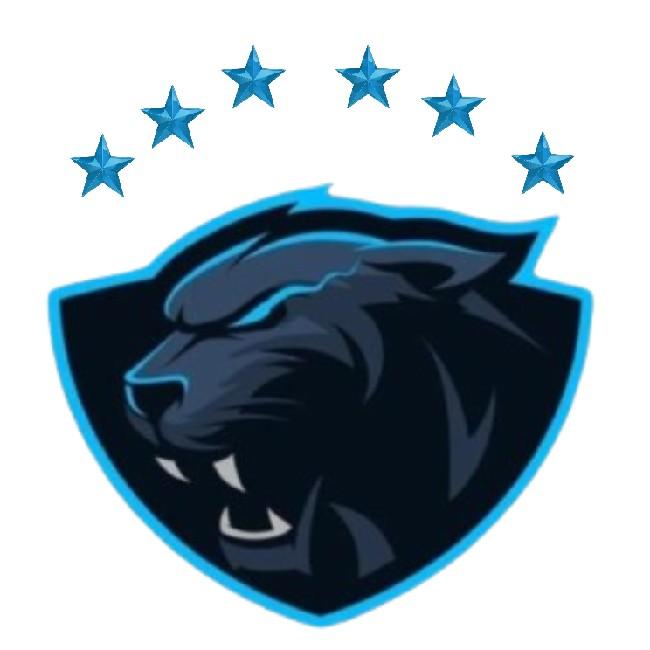 Team Bagheeras