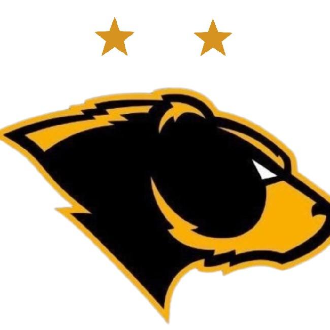 Team Bears