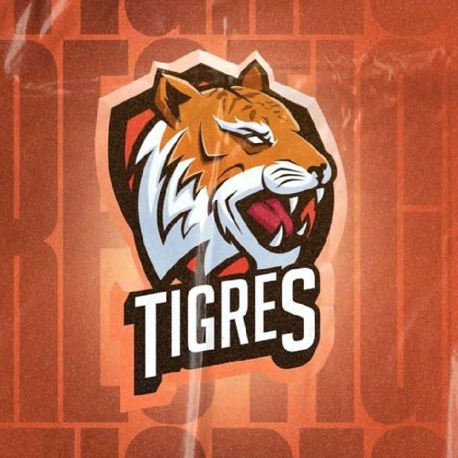 Tigres
