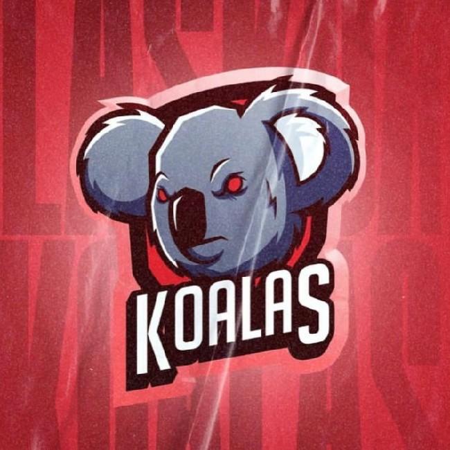 Koalas