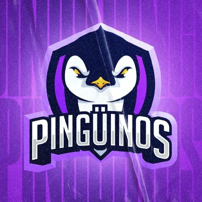 Pingüinos