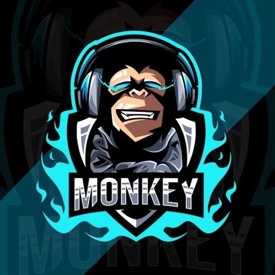 Team Monkey 🇵🇪