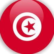 Wael farid