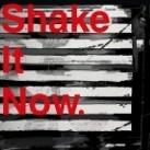 Shake It Now