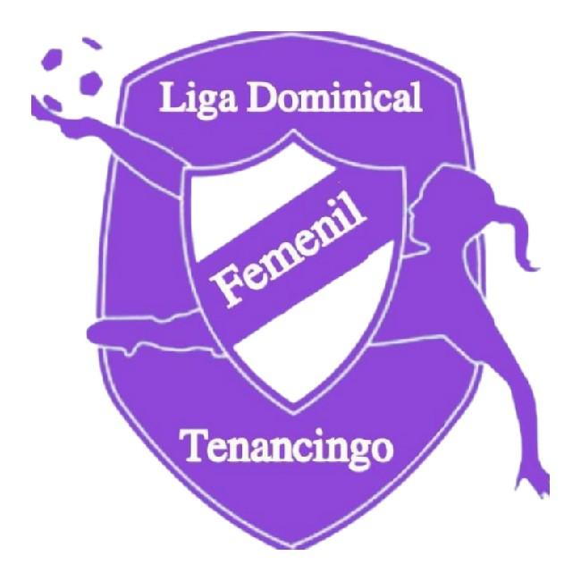Torneo de liga