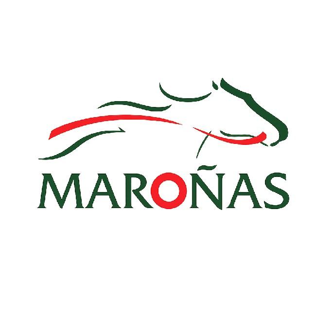 Maroñas