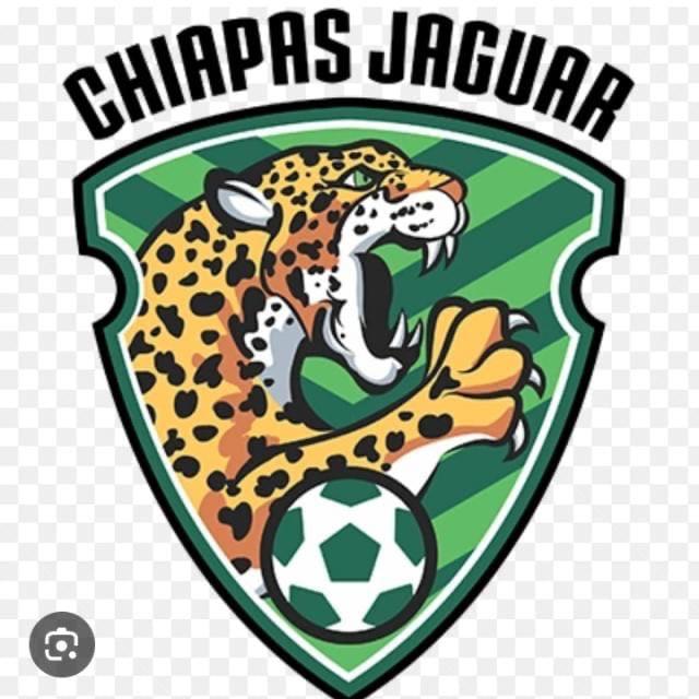 JAGUARES FC