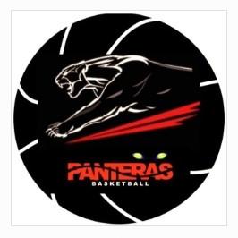 Panteras Madero