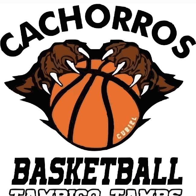 Cachorros