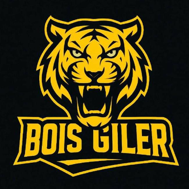 BoisGiler