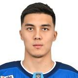 Шайхмедденов Ансар