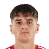 Iulian Codrin Carausu