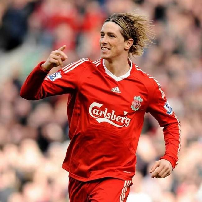 Fernando Torres