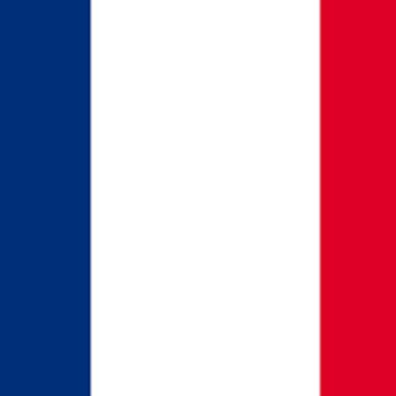 Miqueias Jr [França]