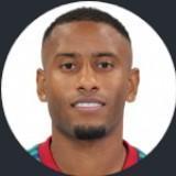 🇳🇱 L. Narsingh