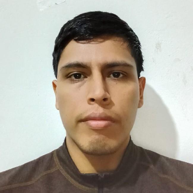 Darwin Franklin Gualazuas Zabala