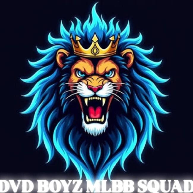 DVD Boyz