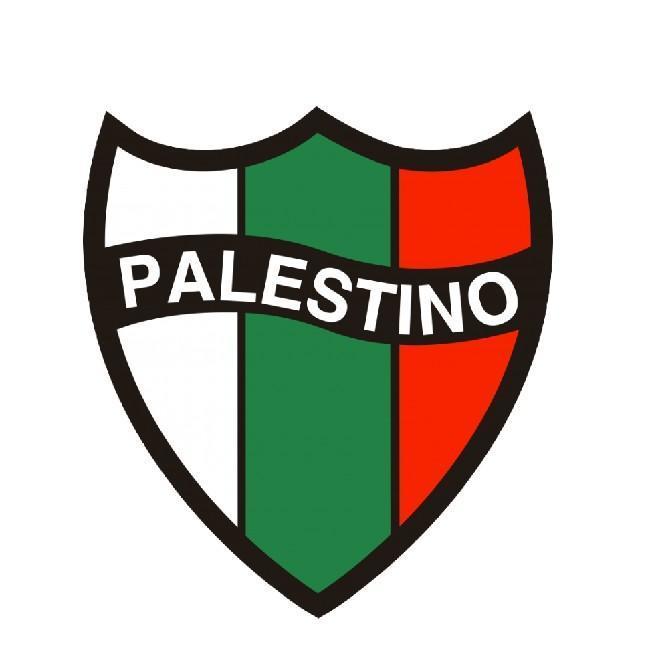 🇨🇱 C.D. Palestino
