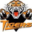 Mexico Tigers