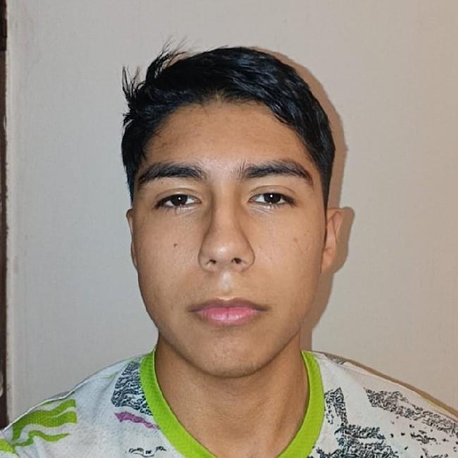 Carlos Daniel Vargas Flores