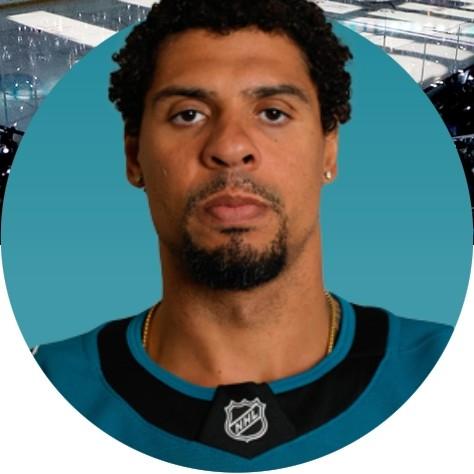 Ryan Reaves